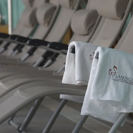 Flamingo Wellness Hotel 4*