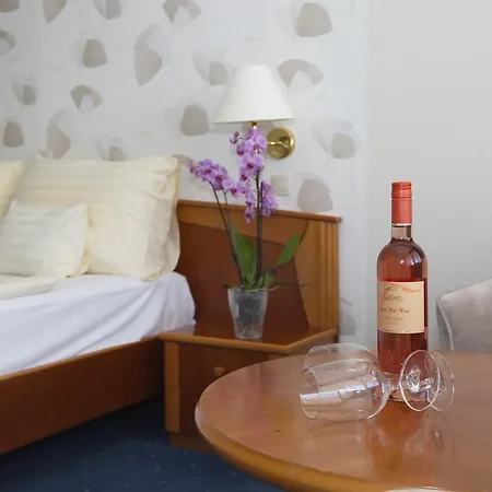 Flamingo Wellness Hotel 4*